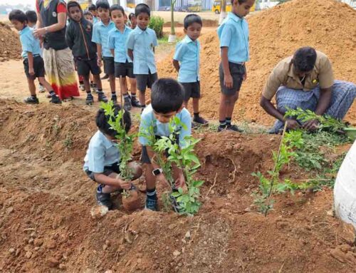 Tree Planting by little kids